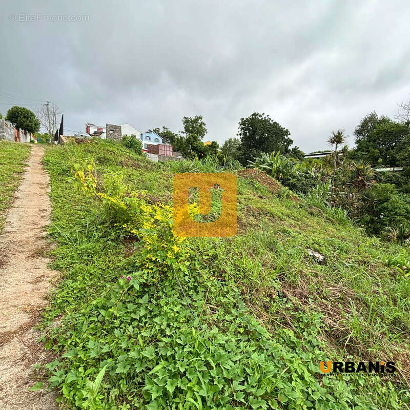 Terrain à SAINT-PAUL