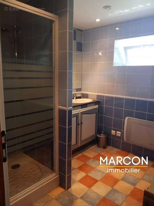 Maison 289 m² à Ajain  - photo 28