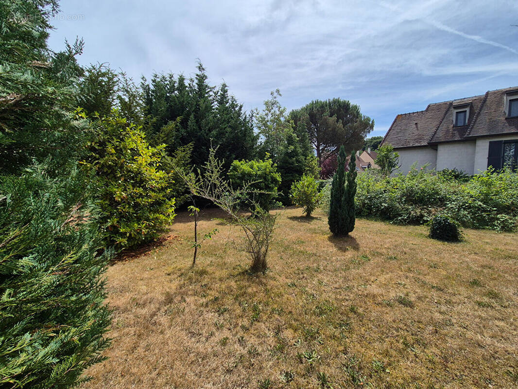 Terrain à VILLEBON-SUR-YVETTE