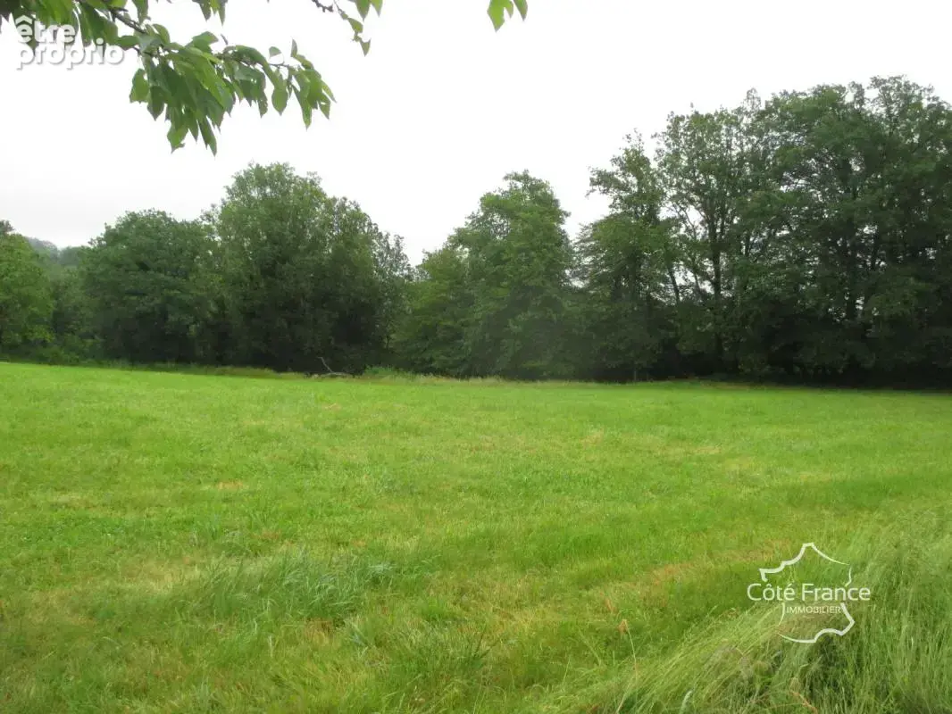 Dordogne- tamnies- terrain a batir - photo 4