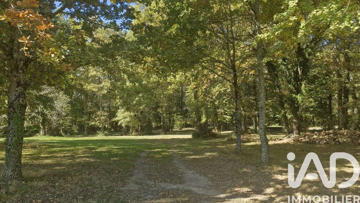 Maison 400 m² à Les Leves-Et-Thoumeyragues  - photo 2