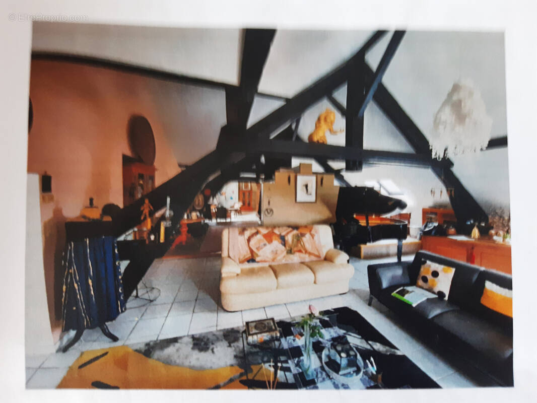 Saint die des vosges loft de 122m2 - photo 1