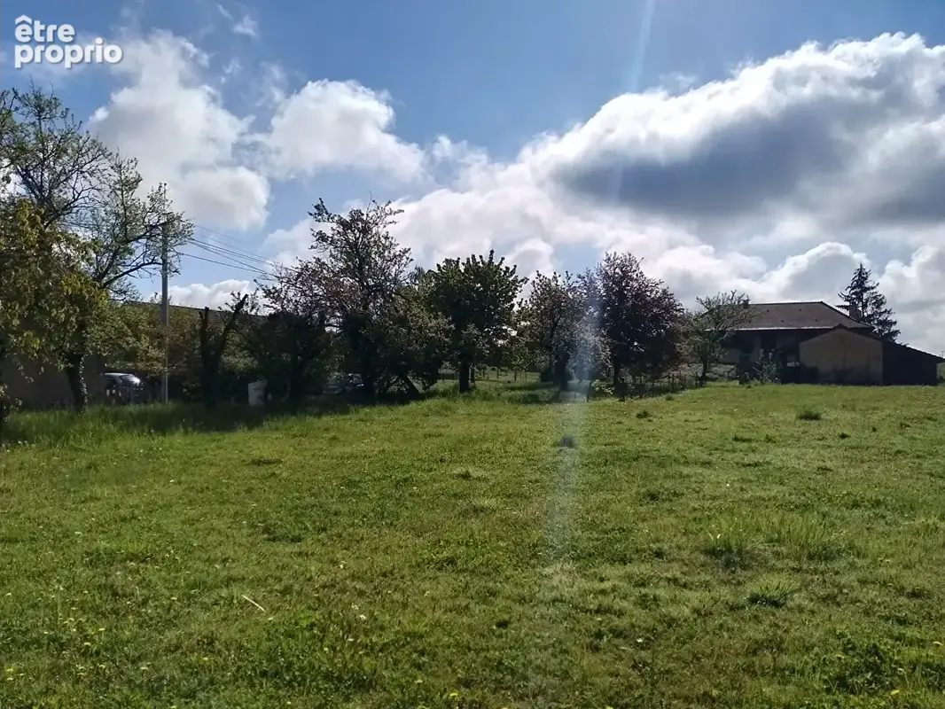 Terrain constructible avec arbres fruitiers 1147 m2 - 71620 St Maurice en Riviere - photo 5