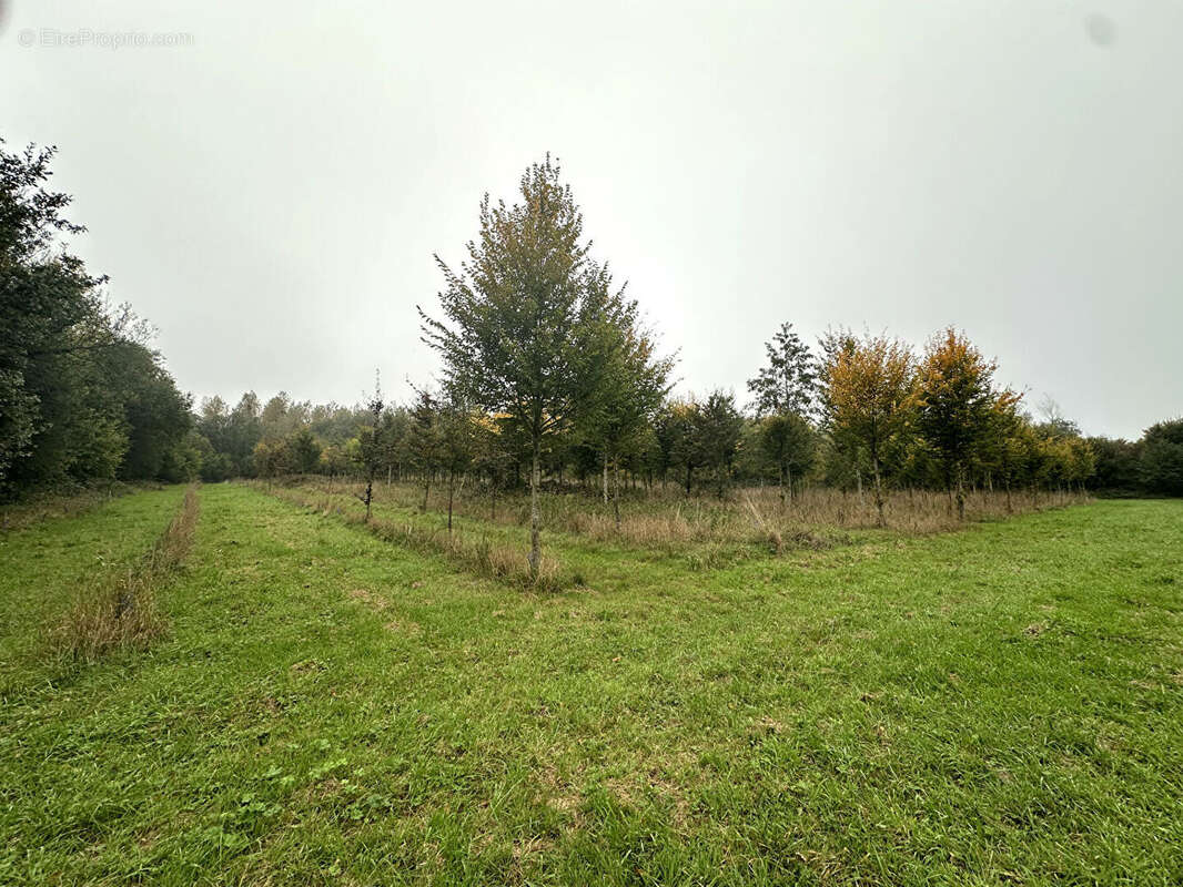 Terrain à LE FAVRIL