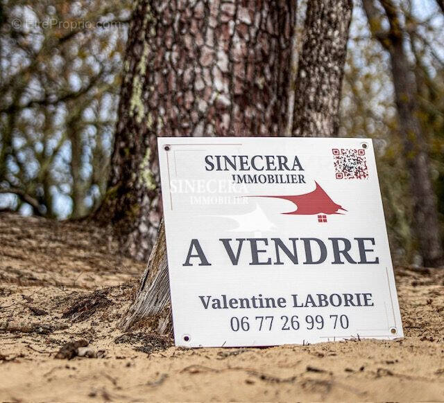 Terrain à SANGUINET