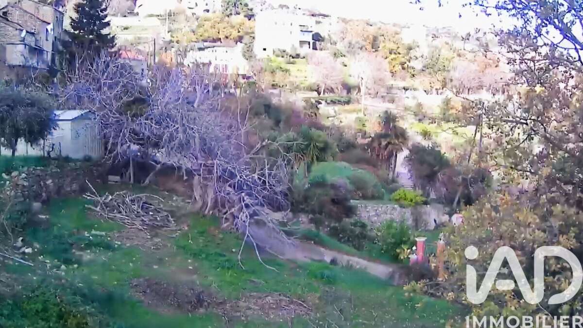 Photo 6 - Terrain à SANTO-PIETRO-DI-TENDA