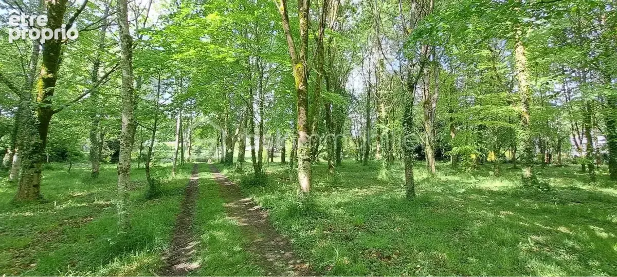 Un véritable havre de paix au cœur de la nature – Maison 136 m² sur 9 500 m² de terrain - photo 17