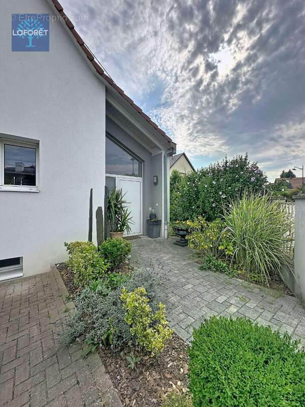 Maison Lampertheim 6 pièce(s) 257 m2 - photo 8
