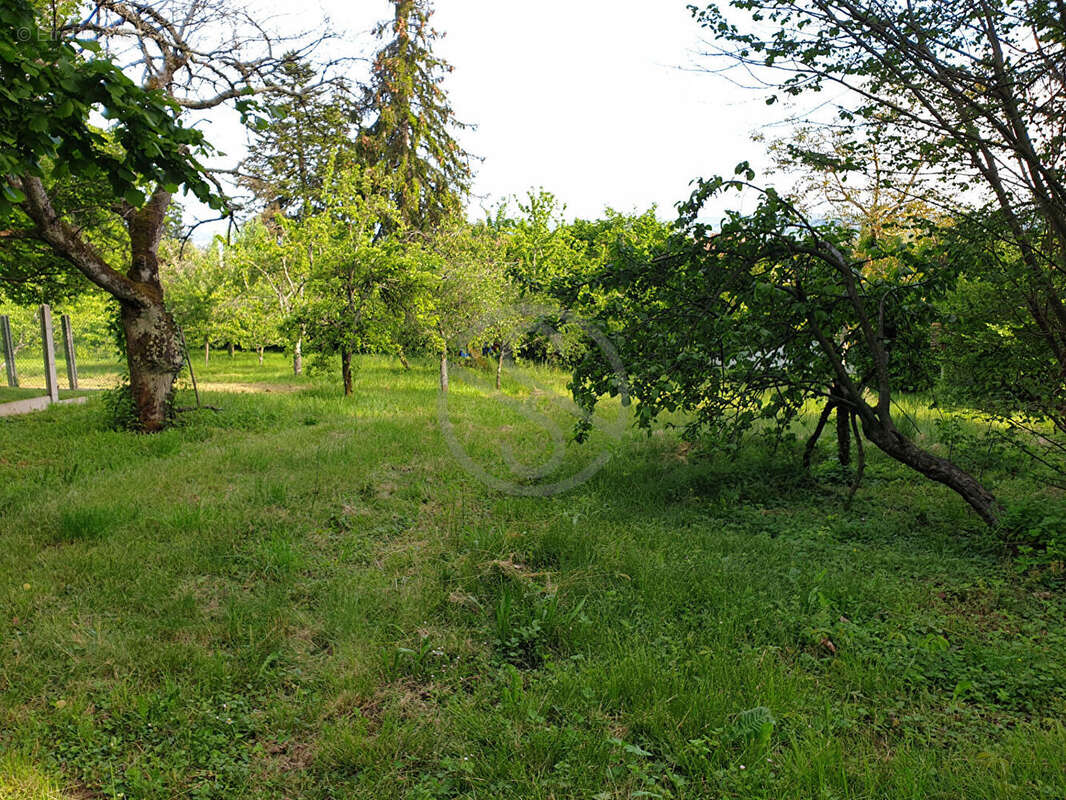 Terrain à LA COTE-SAINT-ANDRE