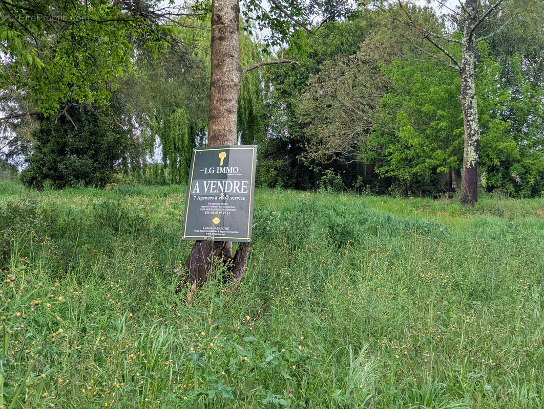 Terrain à SAINT-SIMON-DE-BORDES