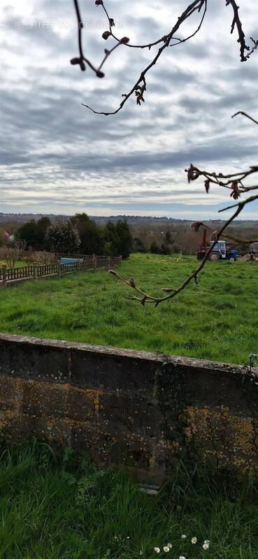 Terrain à ANCENIS