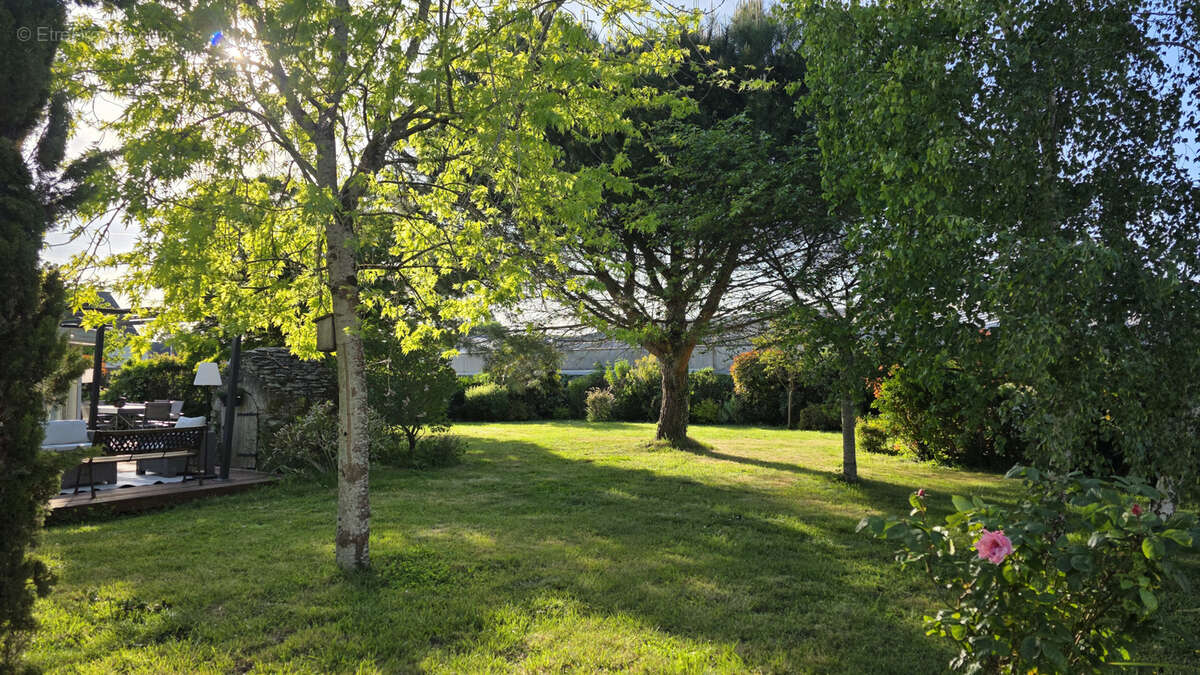 Maison à COUFFE