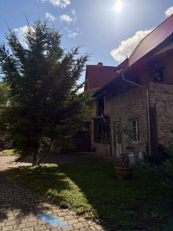 Appartement à FENETRANGE