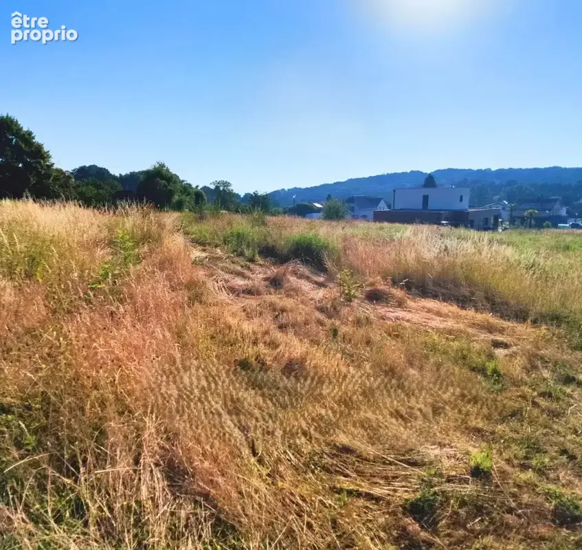 Terrain 800 m² à vendre à Hagenthal-Le-Bas (68220) - photo 2