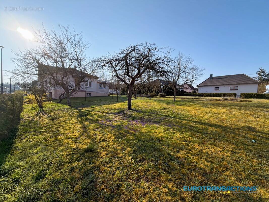 Terrain à REICHSHOFFEN