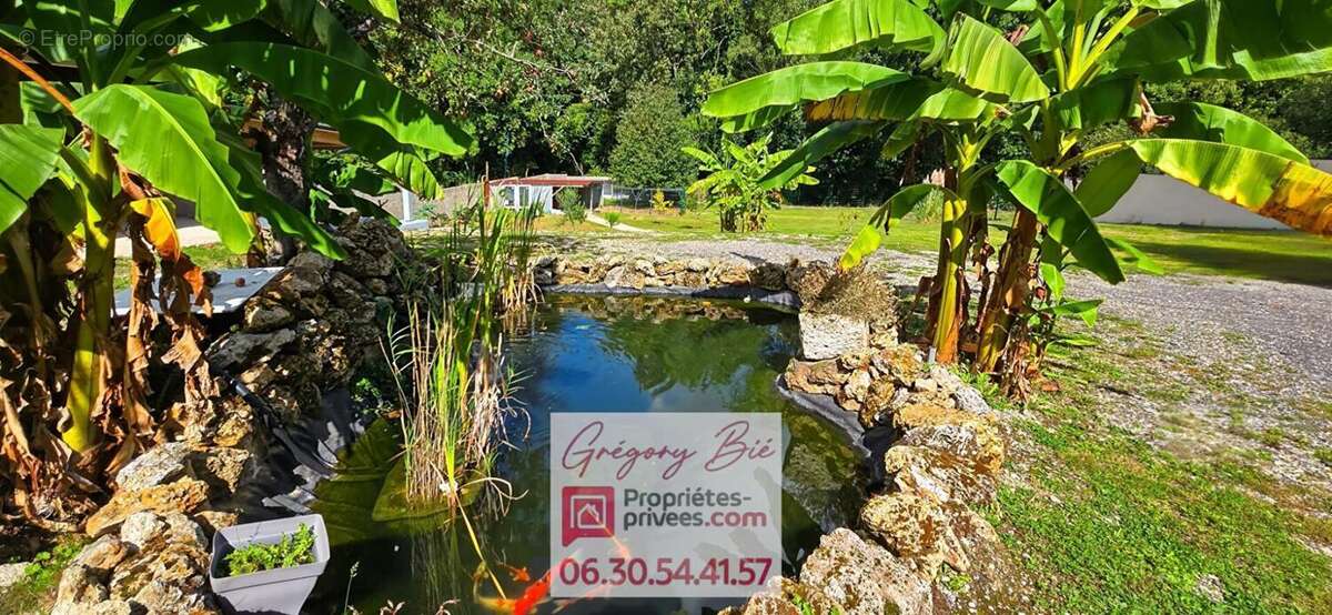 Maison à COULOMMIERS