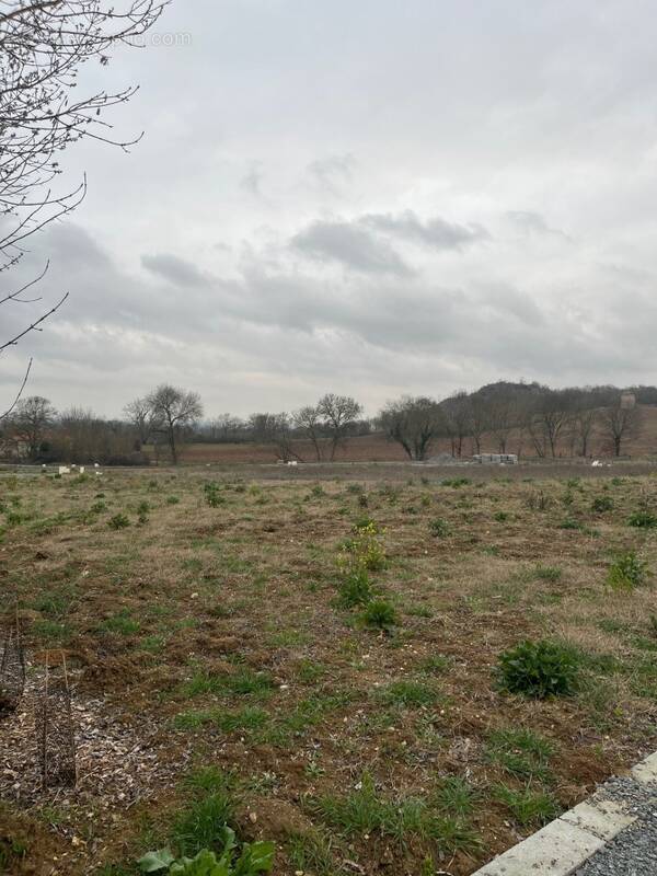 Terrain à CASTELNAU-DE-LEVIS