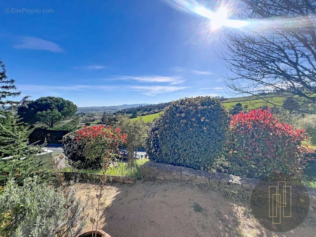 Maison à SAINT-JEAN-DES-VIGNES