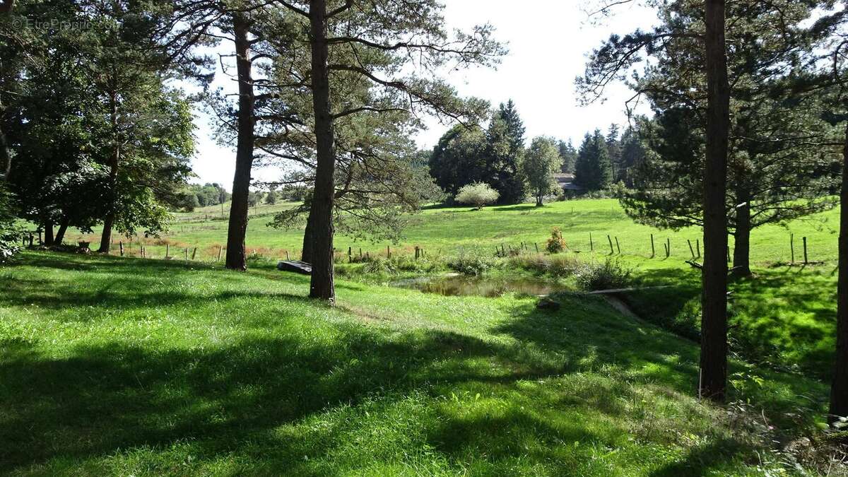 Terrain à SAINT-PAL-DE-MONS