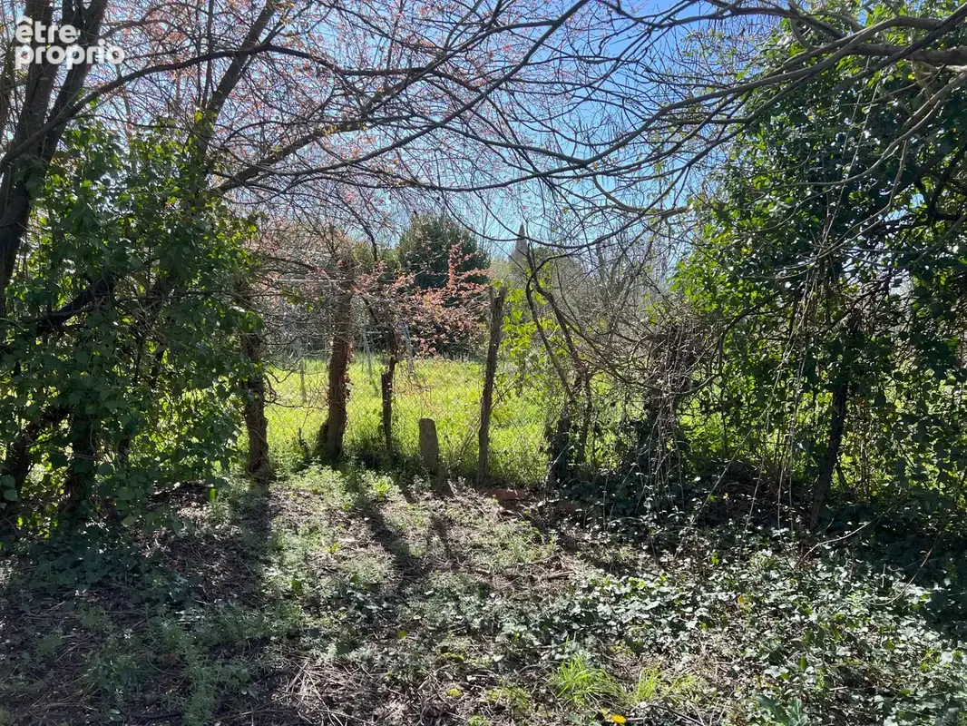 Maison de maitre, coeur de village - photo 9