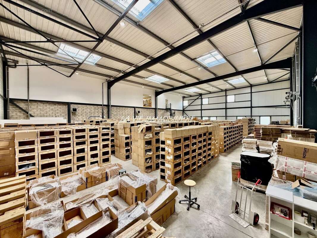 Commerce 1223 m² à Bailly-Romainvilliers  - photo 3
