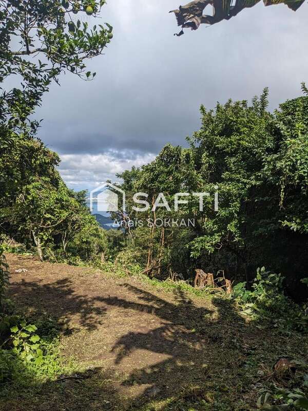 Photo 3 - Terrain à LES TROIS-ILETS