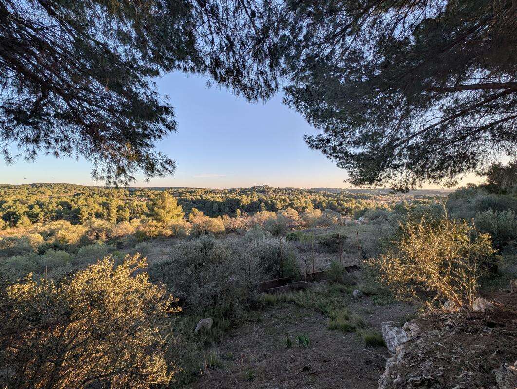 Maison à CASTELNAU-DE-GUERS