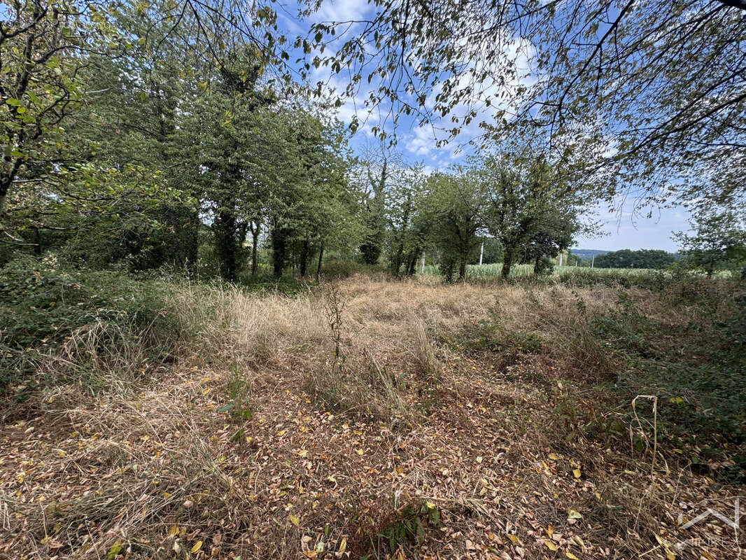 Authentique longère en pierre avec près de 5 000 m2 de terrain  -  Guichen - sans vis a vis - photo 20