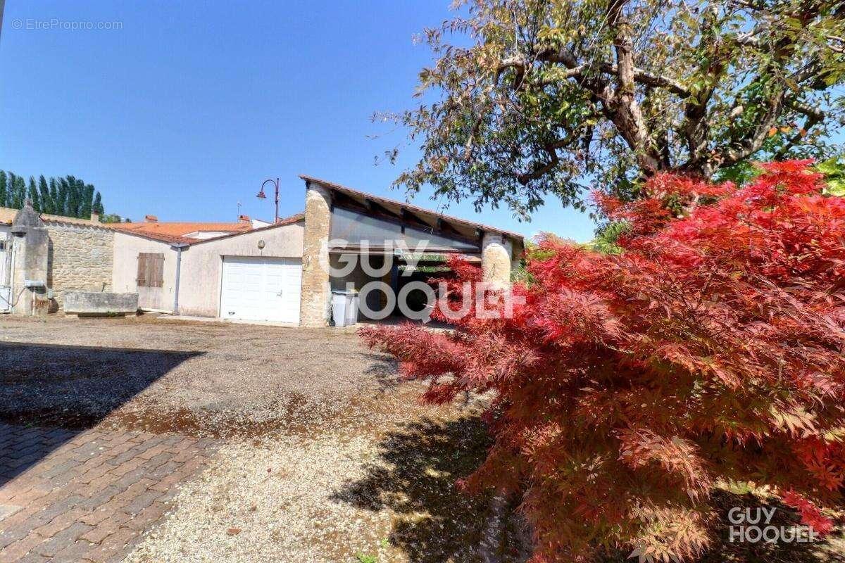 Maison à SAINT-GERMAIN-DE-MARENCENNES