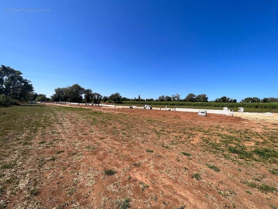 Terrain à SAINT-MARTIN-DE-CRAU