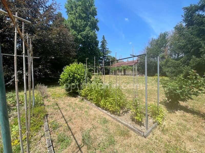 Maison individuelle 4 chambres avec bassin d'agrément et 1 hectare de terrain - photo 10