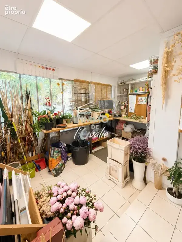 Local commercial 73m2 Fenouillet- Emplacement Ideal - photo 5