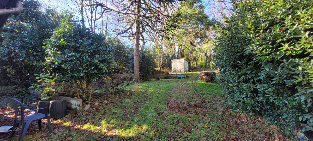 Maison 42 m² à Moelan-Sur-Mer  - photo 7