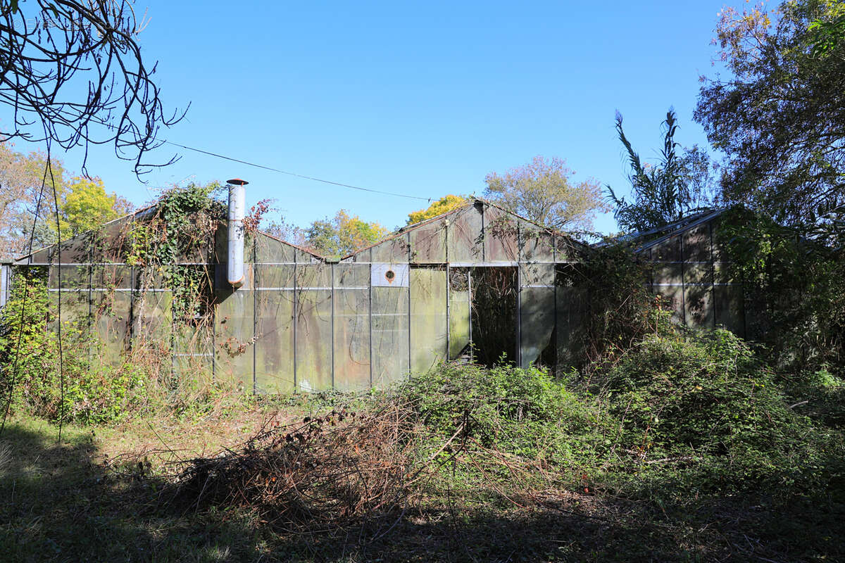 Terrain à SAINT-GEORGES-DE-DIDONNE