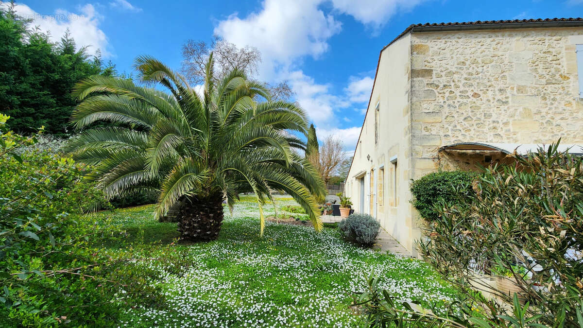 Maison à SAINT-ANDRE-DE-CUBZAC