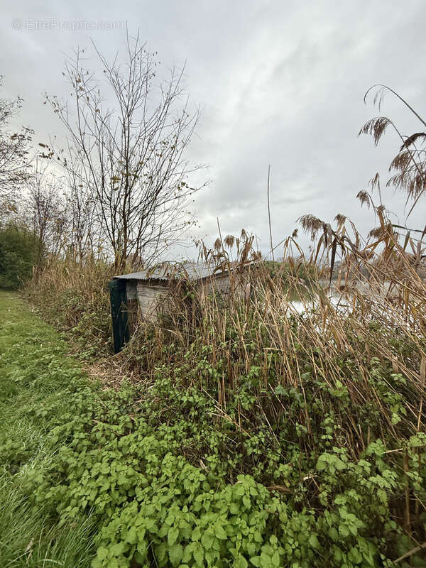 Terrain à SAINT-SYMPHORIEN-D&#039;ANCELLES