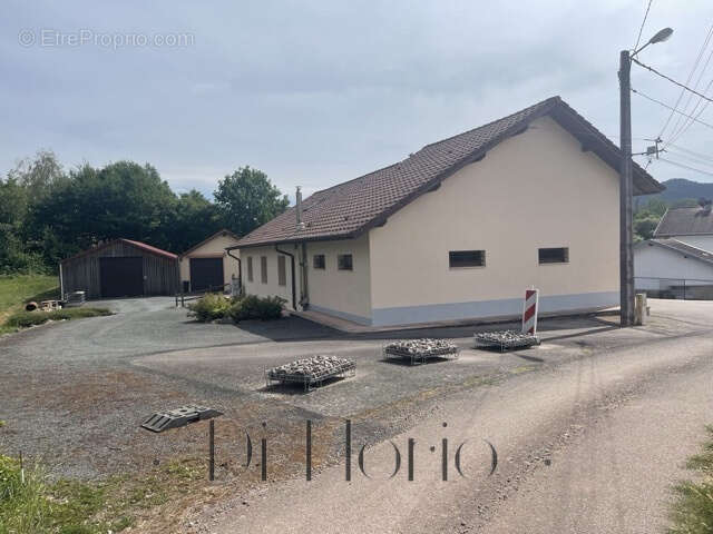 Saint-Dié-des-Vosges - Marzelay - Jolie maison dans quartier calme et verdoyant - photo 16