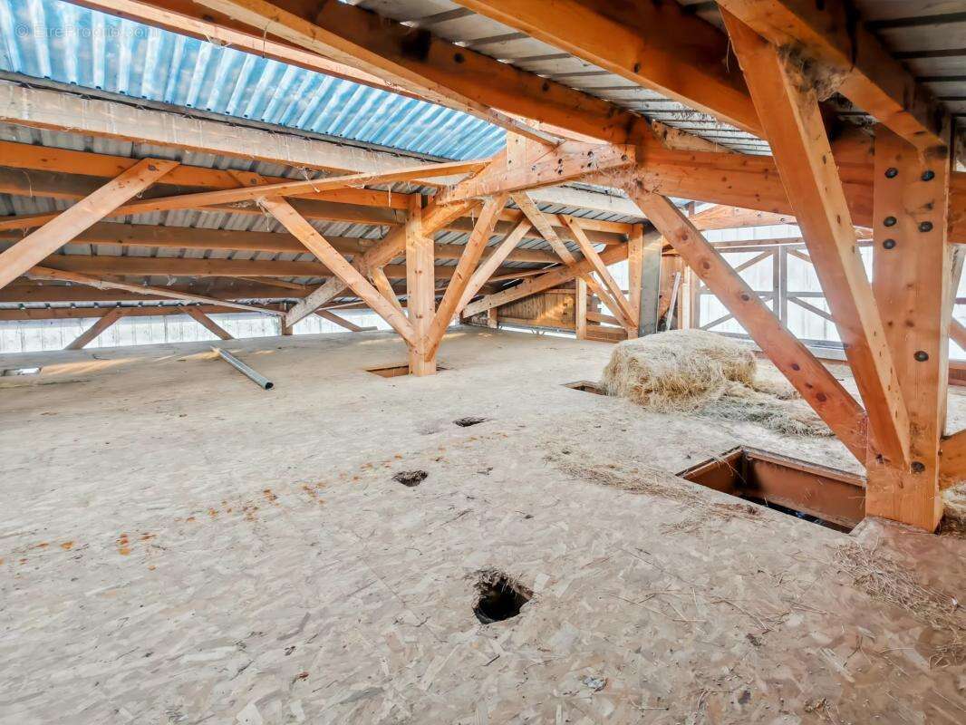 Commerce à LA RIVIERE-ENVERSE