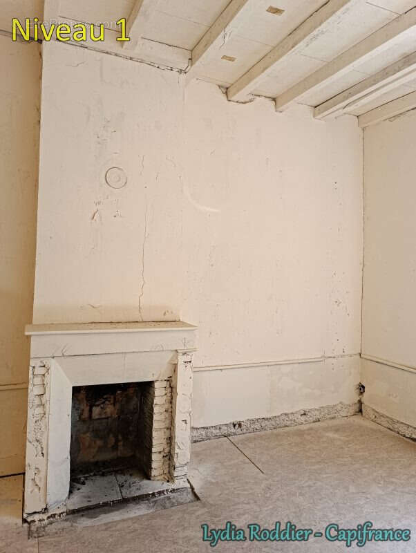 Maison de maître de 10 pièces avec terrain RARE à Thiers (63300) - photo 9