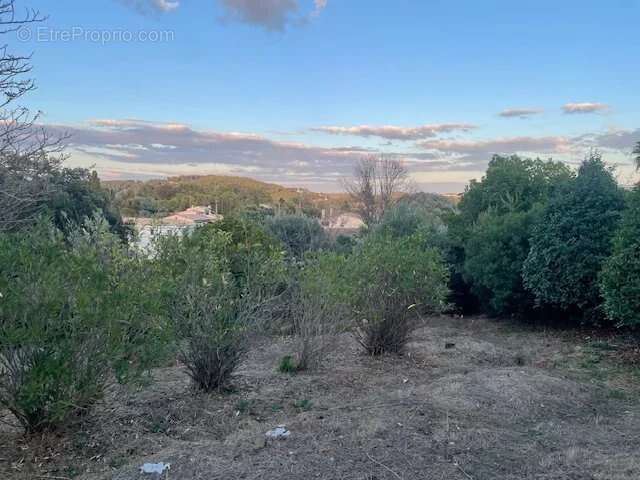 Terrain à LA ROQUETTE-SUR-SIAGNE