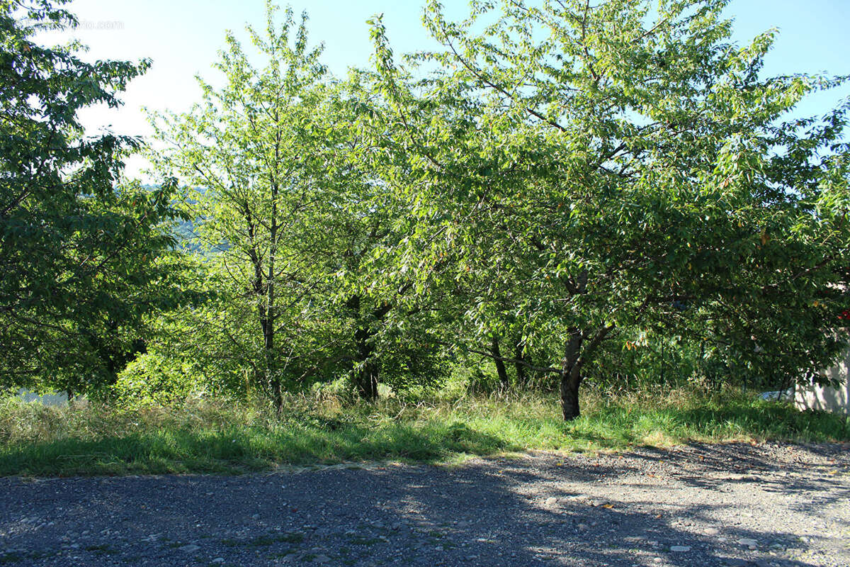 Terrain à ROMAGNAT