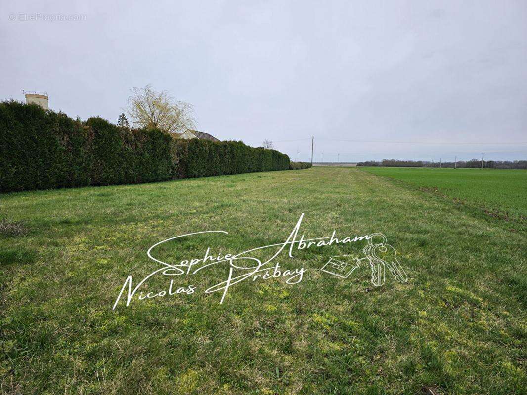 Terrain à JANVILLE