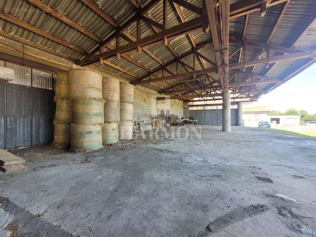 Commerce à MAZEROLLES