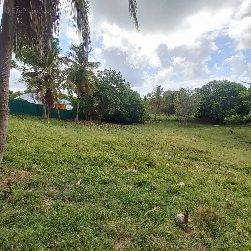 Terrain à LE GOSIER