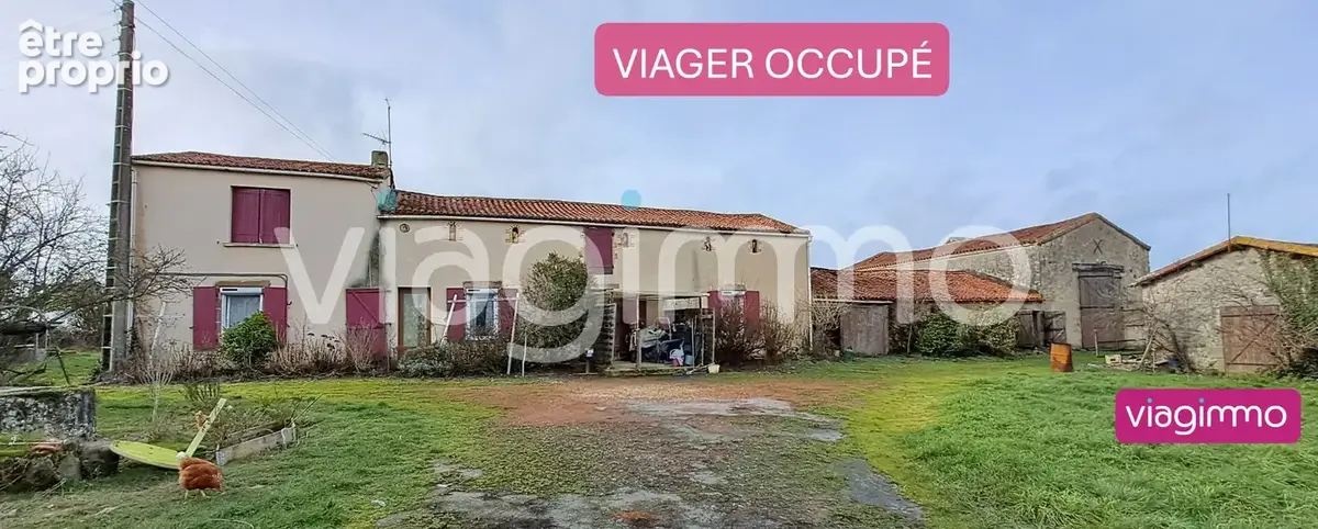 VIAGER LIBRE MAULÉON Corps de ferme 138m² avec dépendances - photo 4