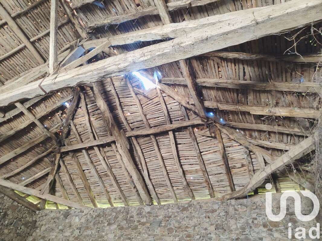 Photo 8 - Maison à CHABANAIS