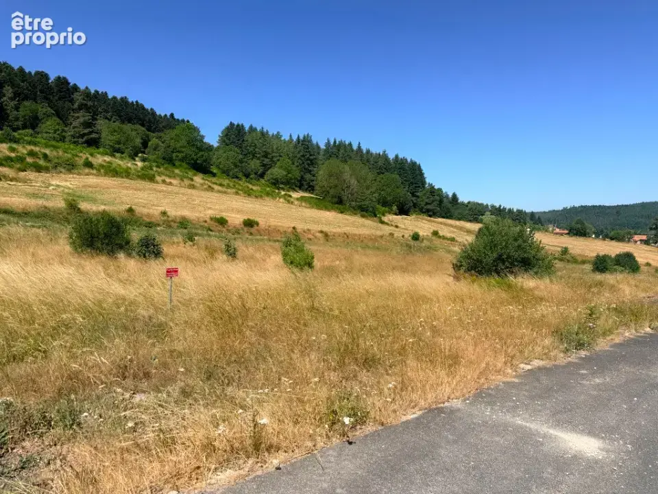 Terrain 756 m² à vendre à Dunieres (43220) - photo 3