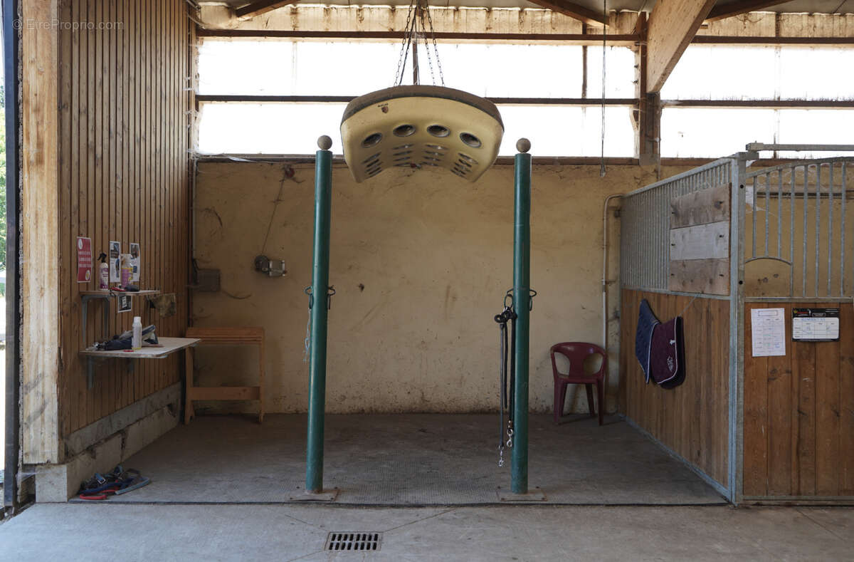 Haras du mas de meyrie - photo 6