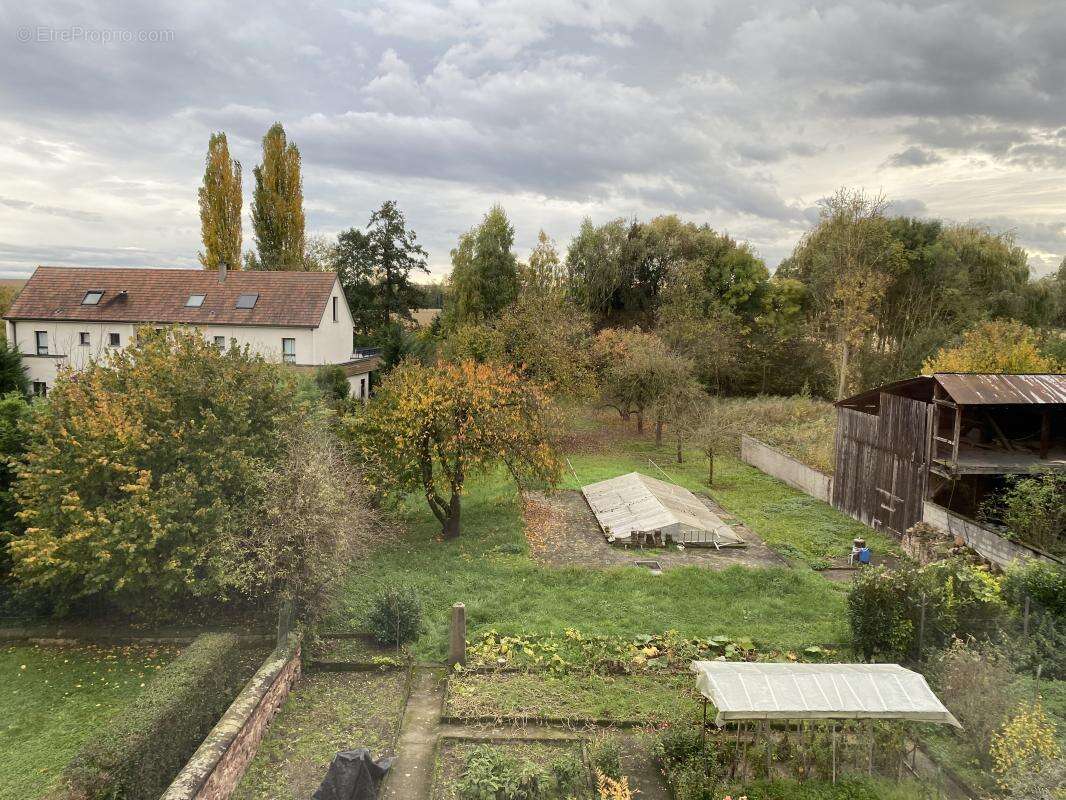 Terrain à BREUSCHWICKERSHEIM