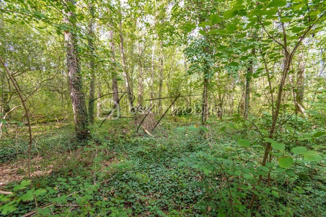 Terrain à NANTEAU-SUR-LUNAIN